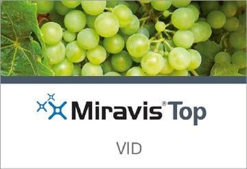 Miravis Top Vid