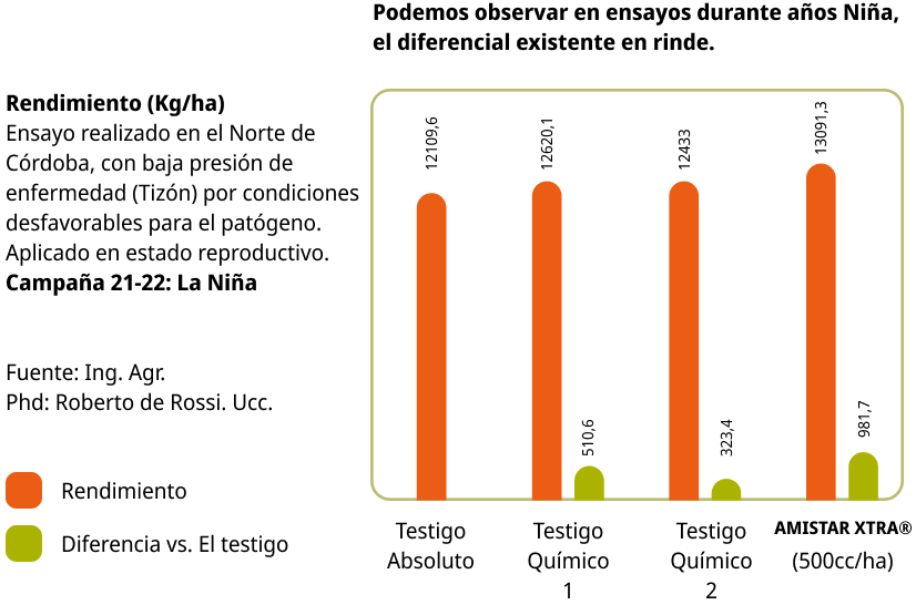 AMISTAR XTRA® Syngenta | Mitos de aplicación de Fungicidas | Enfermedades Foliares