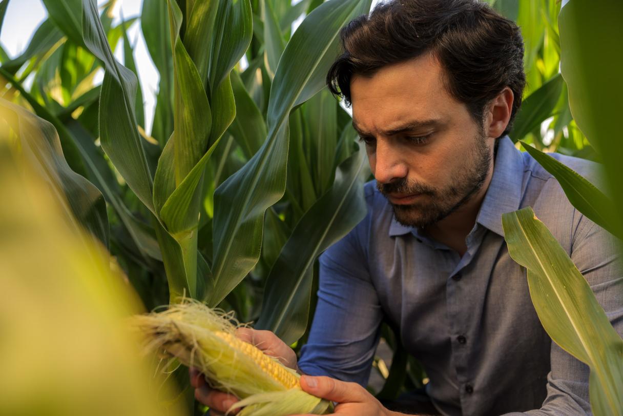 Syngenta