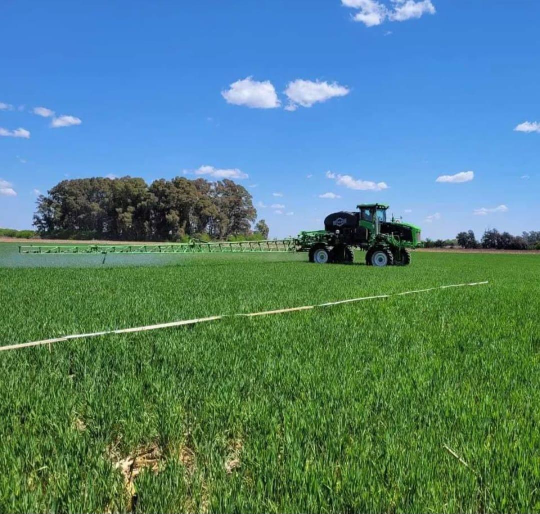 Syngenta