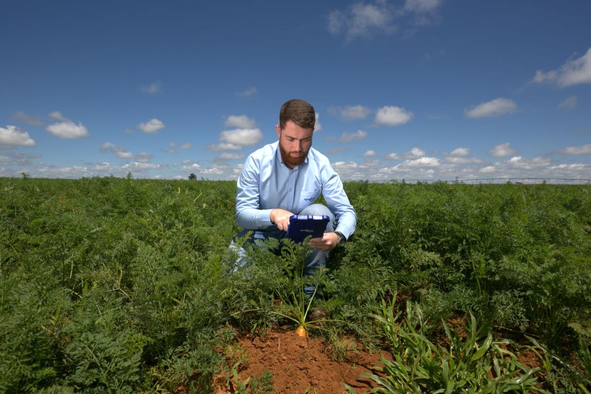 Syngenta